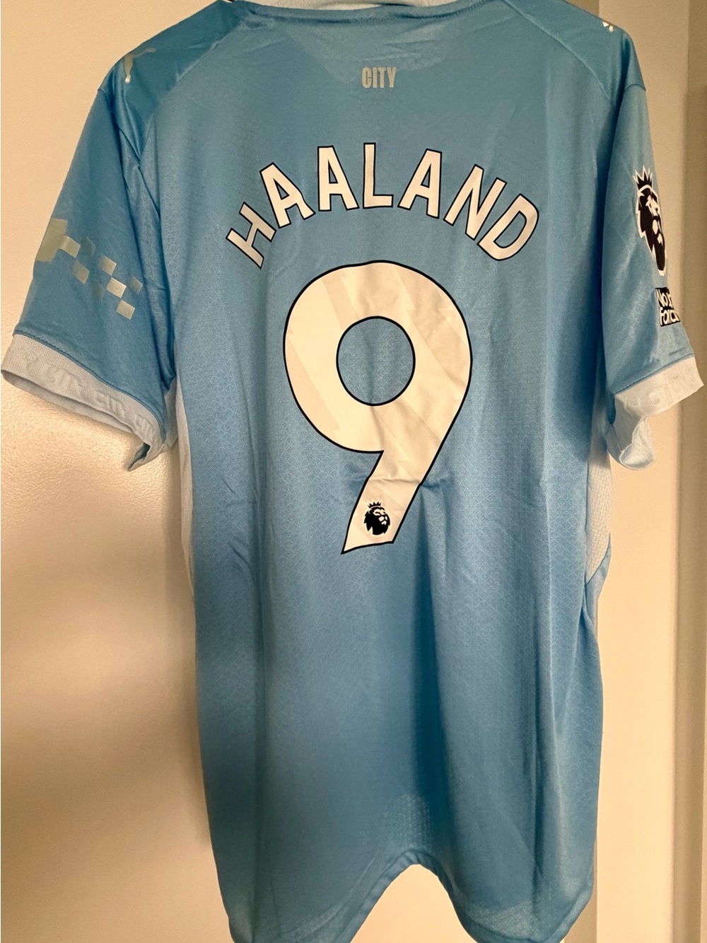 Haaland #9 Sky Blue Soccer Jersey player version